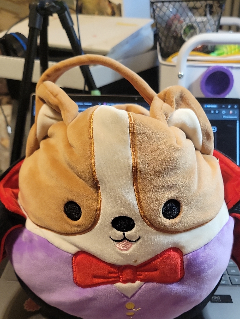 Squishmellow Halloween Basket Catula